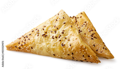 Samsa triangle on white background. Isolated