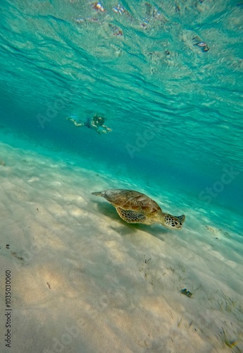 Just a boy chasing a turtle, Gili Air, Lombok, Indonesia