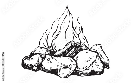 Hand drawn vector illustration of a Camp Fire in vintage style. Sketch of a campfire or bonfire. Retro bonfire with a flame for summer tourism in the forest. Drawing on a white isolated background.