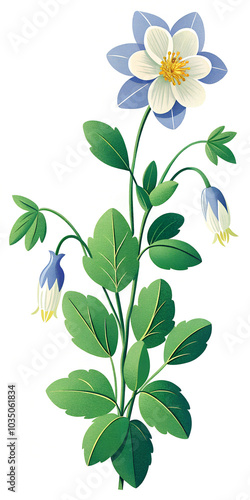 Illustration of Elegant Blue and White Columbine Flower