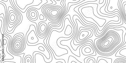 Abstract black and white wavy topography relief map background landscape geodesy topographic map lines background, topographic contour map vector illustration with black lines geography background.