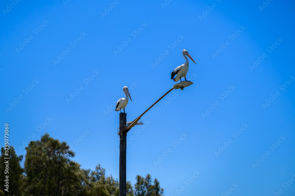 The photo was taken in Swansea Channel, Australia The photo was taken in Swansea Channel, Australia