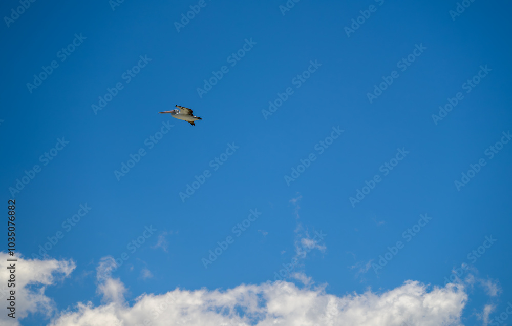 The photo was taken in Swansea Channel, Australia The photo was taken in Swansea Channel, Australia