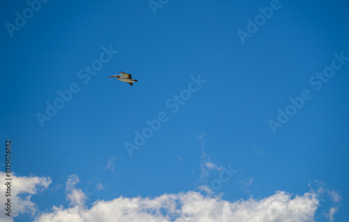 The photo was taken in Swansea Channel, Australia