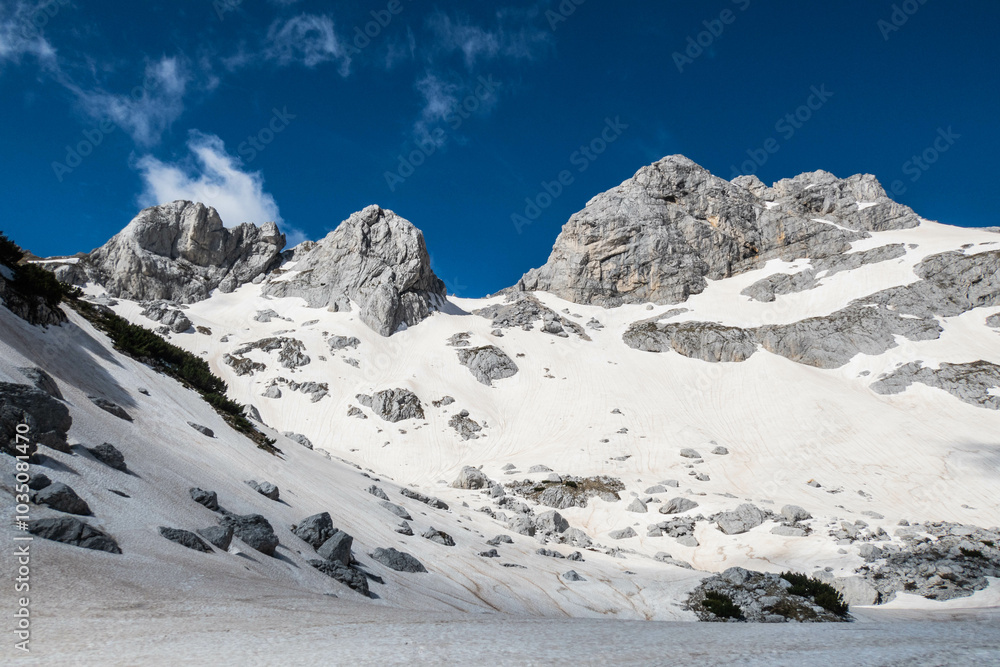 Fototapeta premium View to Bobotov Kuk, Durmitor National Park, Zabljak, Montenegro