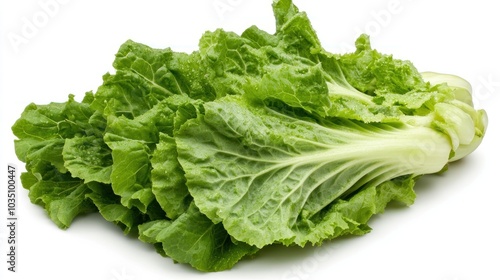 A fresh head of romaine lettuce with crisp, green leaves.