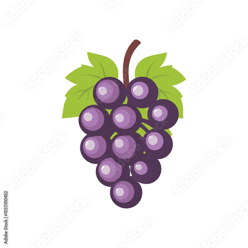 Organic Grapes Vector Illustration for Food and Beverage Branding photo