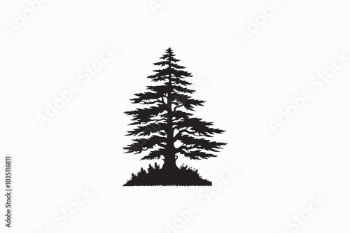 A Cedar tree vector silhouette image adobe illustrator..eps