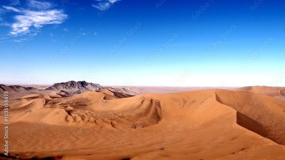 Naklejka premium Namibian desert
