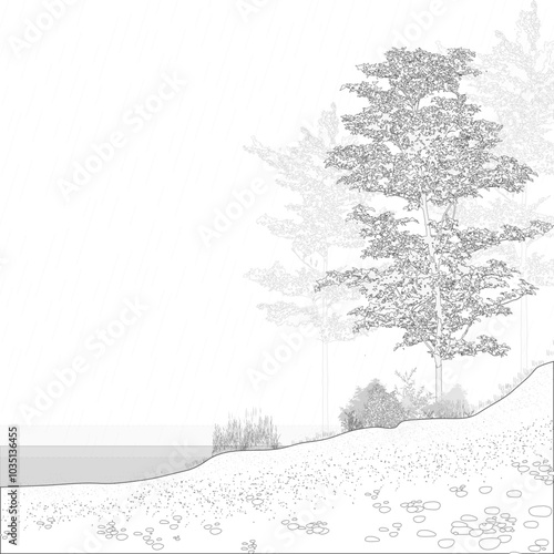 Architectural Drawings, Minimal style cad tree line drawing, Side view, set of section wetland forest outline for landscape design drawing. Vector illustration in seperate element