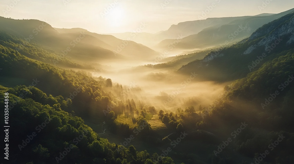 Serene Morning Mist in Mountain Valley Serene Morning Mist in Mountain Valley