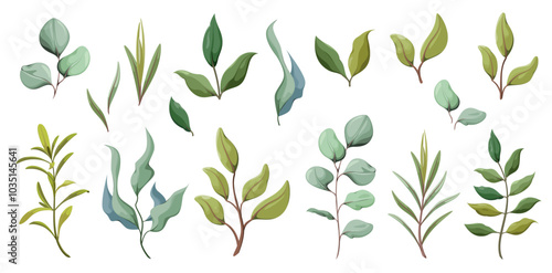 A set of green branches and leaves on a white background. Elements for decoration. Vector illustration in watercolor style.