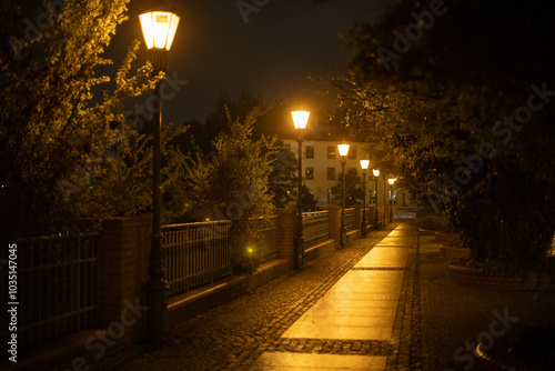 night cityscape after the rain, lanterns at night along the pedestrian path after the rain with the reflection of light on the path