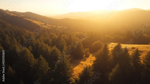 Serene Sunset Over Lush Green Landscape