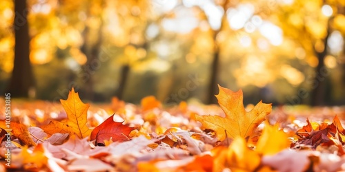 Bright golden autumn leaves scattered on the forest floor, bathed in warm sunlight, creating a peaceful and colorful scene photo