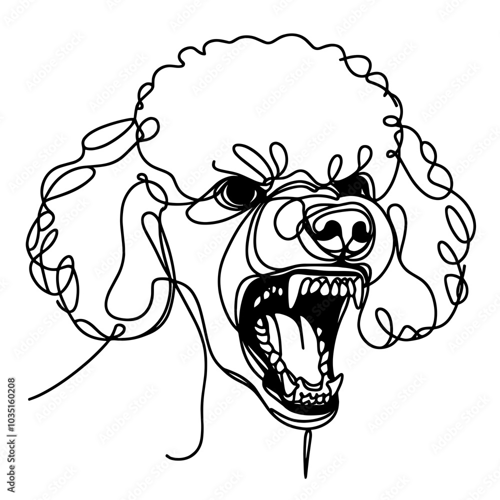 Aggressive poodle breed dog angry and grinning teeth. Dog showing dangerous teeth and ready to attack, single continuous line vector illustration isolated on white background Aggressive poodle breed dog angry and grinning teeth. Dog showing dangerous teeth and ready to attack, single continuous line vector illustration isolated on white background
