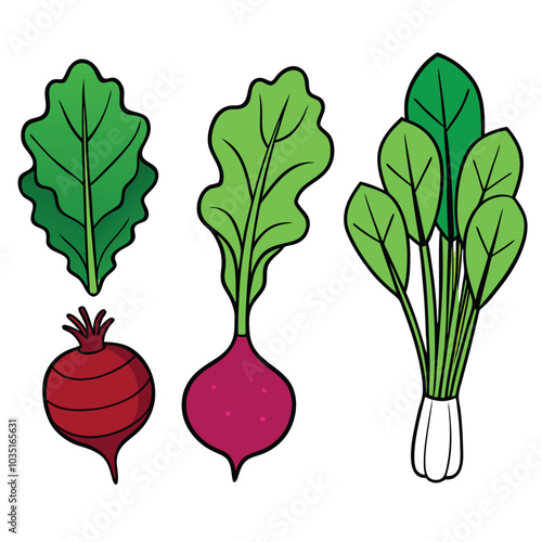 Delicious fresh bok choy vector illustration, bok choy flat icon