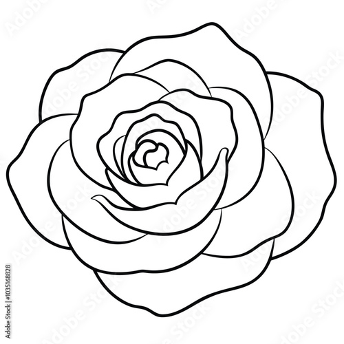 hand-drawn-zinnia-flower-vector line art