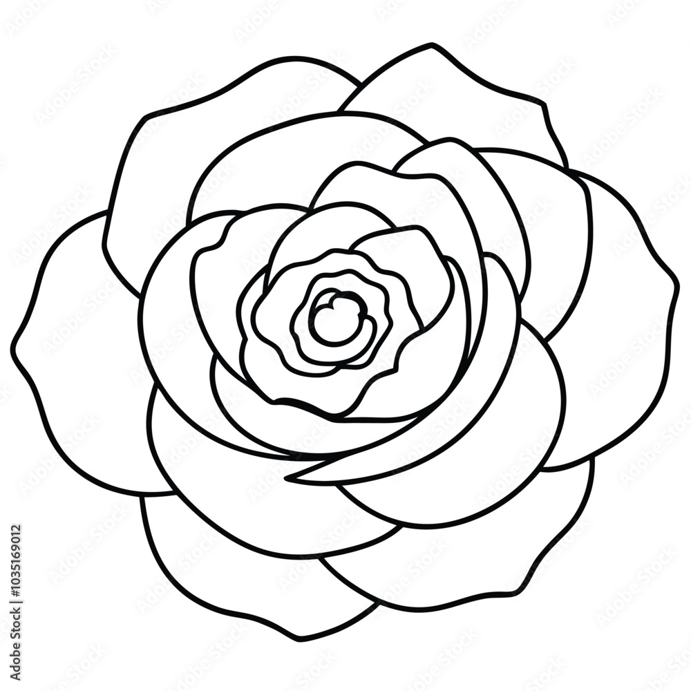 hand-drawn-zinnia-flower-vector line art hand-drawn-zinnia-flower-vector line art