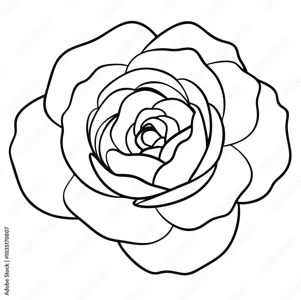hand-drawn-zinnia-flower-vector line art hand-drawn-zinnia-flower-vector line art