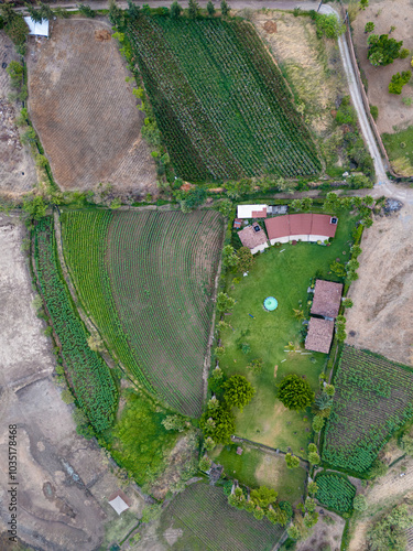 Aerial view of green farmland with sowing patterns and a farmhouse, Malinalco, Mexico. photo