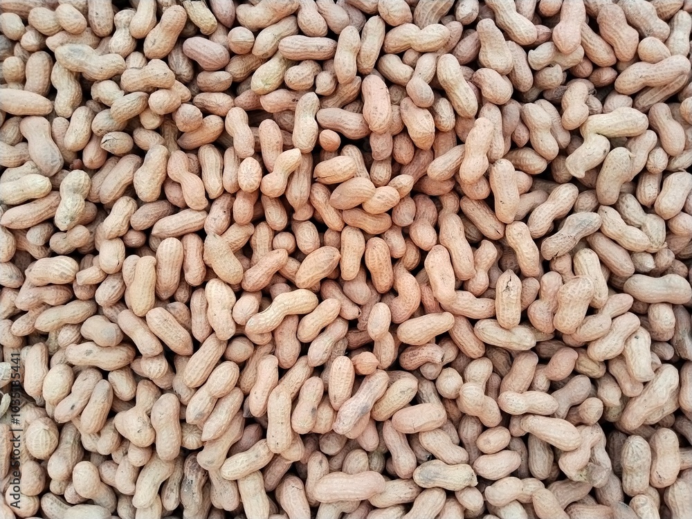 Nuts Good for human nutrition, this is a valuable food for health, fresh peanut from a local market Nuts Good for human nutrition, this is a valuable food for health, fresh peanut from a local market
