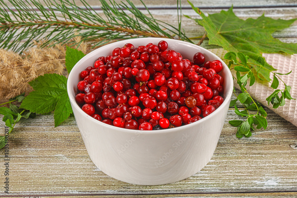 Natural organic wild forwst lingonberry Natural organic wild forwst lingonberry