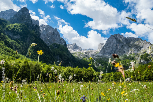 Grebaje Valley and Prokletije National Park, Accursed Mountains, Skala, Gusinje, Montenegro