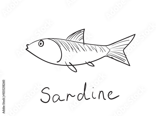 Hand drawn pilchard, doodle sardine fishes, sketched fish pictogram, sardines icon, sketchy sea animals