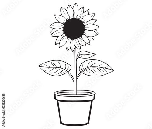 Sunflower flower outline illustration coloring book page design. Sunflower in a pot, Black and white flower