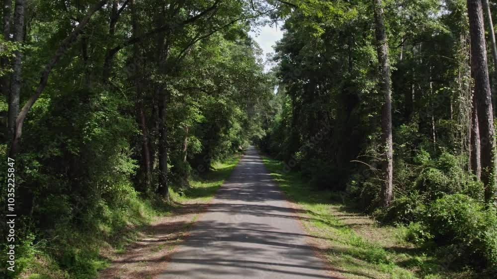 Aerial view of a tranquil road winding through a lush forest with verdant trees, Thomasville, United States. Aerial view of a tranquil road winding through a lush forest with verdant trees, Thomasville, United States.