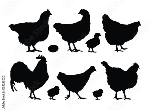 Set silhouettes of chickens and roosters.
