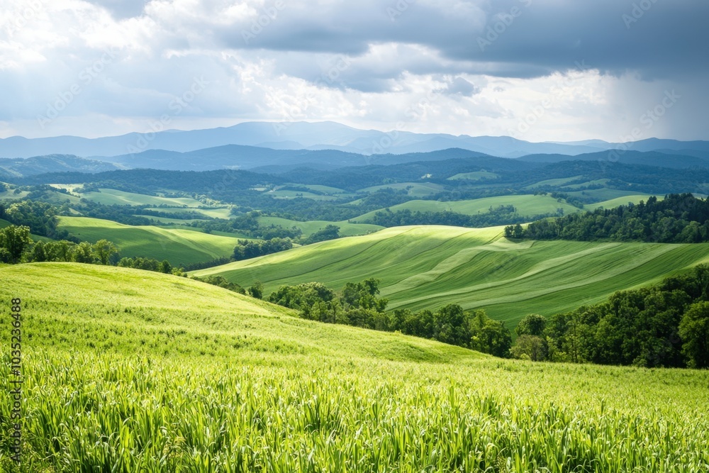 Lush green hills under dramatic clouds in a vibrant countryside landscape Lush green hills under dramatic clouds in a vibrant countryside landscape