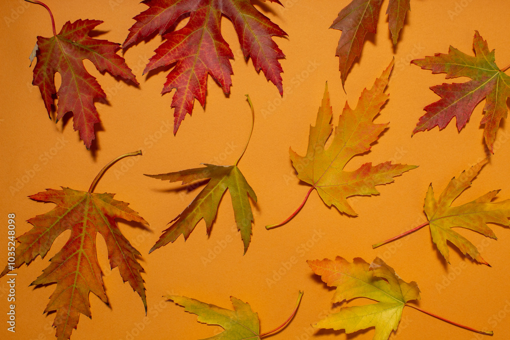 Autumn background with dry maple and oak leaves on brown background. Holiday sesonal concept Autumn background with dry maple and oak leaves on brown background. Holiday sesonal concept