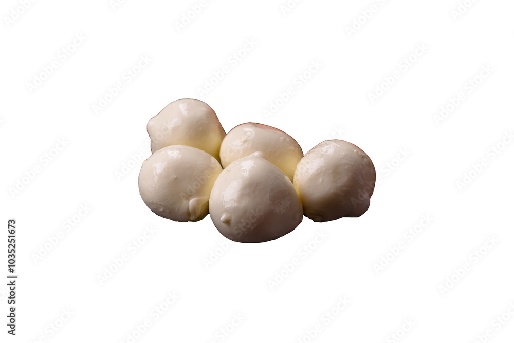 Delicious fresh mozzarella cheese with tomatoes, salt and spices Delicious fresh mozzarella cheese with tomatoes, salt and spices