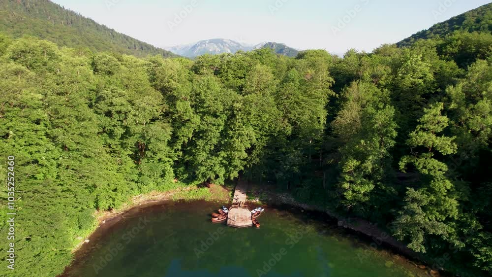 Aerial view of lush green forest and serene river, Kolasin, Montenegro. Aerial view of lush green forest and serene river, Kolasin, Montenegro.