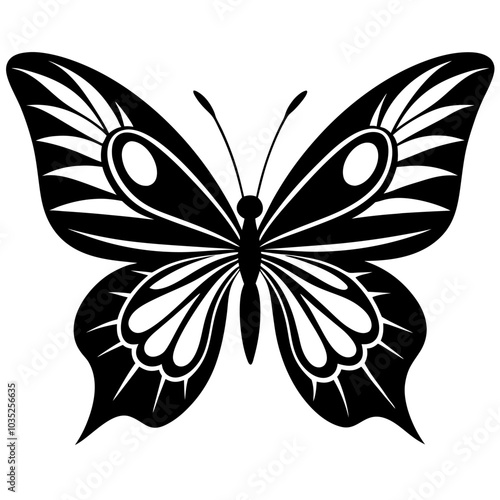 creative butterfly vector