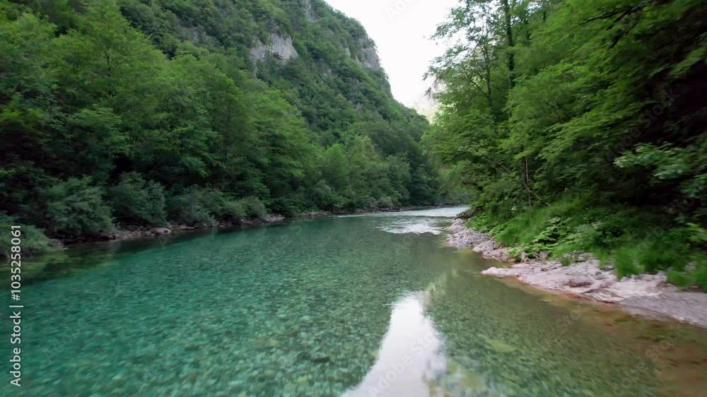 Aerial view of the tranquil Tara River surrounded by lush forest and picturesque landscape, Pljevlja, Montenegro. Aerial view of the tranquil Tara River surrounded by lush forest and picturesque landscape, Pljevlja, Montenegro.