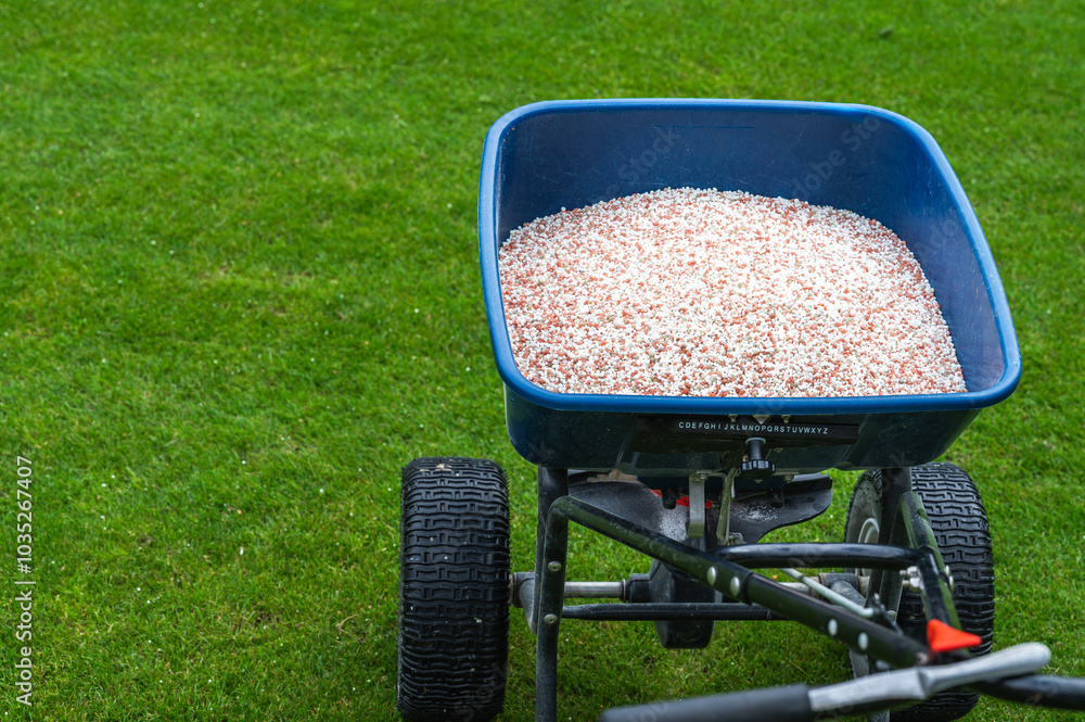 Groundsman spreads fertilizer for grass on a football pitch