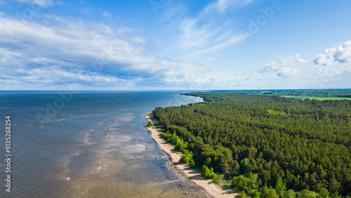 Aerial view of beautiful coast and beach surrounded by lush forest and tranquil sea, Paernu, Estonia.