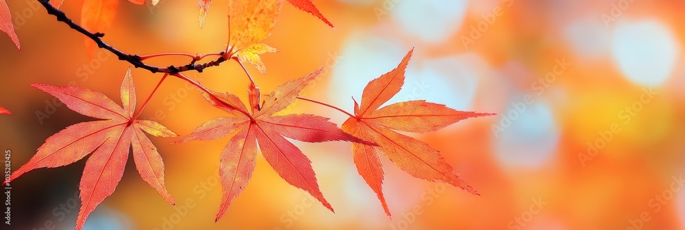 Red Maple Leaves in Autumn Light, Vibrant Fall Foliage Against a Dreamy Blurred Orange Background Red Maple Leaves in Autumn Light, Vibrant Fall Foliage Against a Dreamy Blurred Orange Background