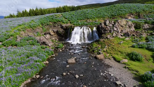 Aerial view of a majestic waterfall surrounded by lush greenery and vibrant flora, Fossarett, Iceland. photo