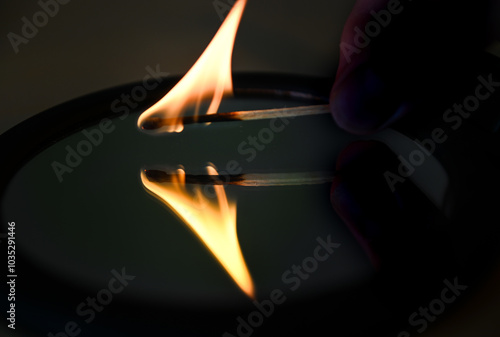 yellow flowers reflecting in the mirror