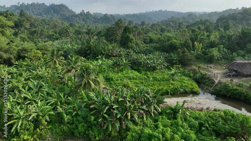 Aerial view of lush tropical forest and a serene river with a traditional hut, Siberut Island, Indonesia. Aerial view of lush tropical forest and a serene river with a traditional hut, Siberut Island, Indonesia.