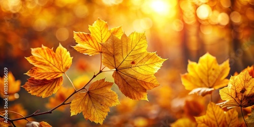 Golden Autumn Leaves in Sunlight, Fall Foliage, Nature Photography