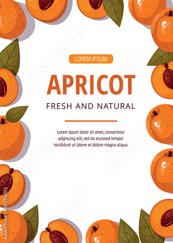 Ripe apricots with slice isolated on white background. Leaflet template.