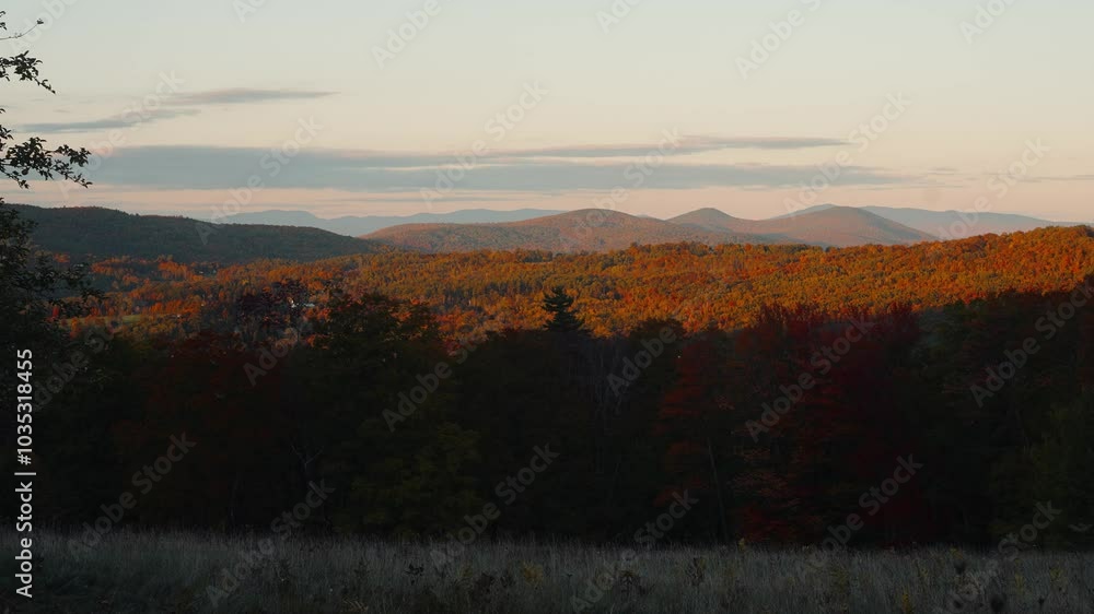 Beautiful layering Hill View in the morning from the Cabin window Beautiful layering Hill View in the morning from the Cabin window