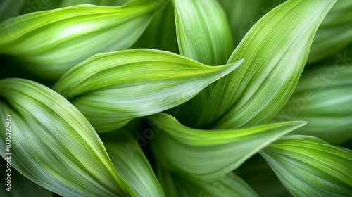 A Close-Up View of Lush Green Leaves with Intricate Veins