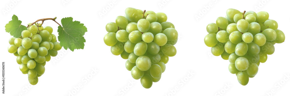 Fresh green grapes isolated transparent background bunch of grapes fruit vine food natu Fresh green grapes isolated transparent background bunch of grapes fruit vine food natu