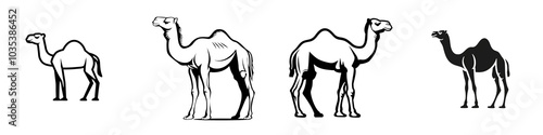 Camel standing isolated on a white background, showcasing its unique features and silhouette.